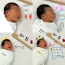 헬리아코 | 수원 호매실 더헬리아 산후조리원 2주 이용기: 두 아이 모두 여기서!