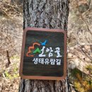 16기 제163차 단양 황정산(959m) & 선암골 생태유람길 트레킹 이미지