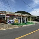 욕지고메원 | 욕지도여행 욕지도 유명한 고구마도넛 욕지고메원 후기 내돈내산