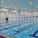 탁구교실 초급 | [도봉/강북 수영장 비교] 창동문화체육센터 수영장