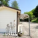 자작나무 조형물 이미지