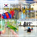 2719 | 경기근교 겨울방학 아이와 가볼만한곳 Best5