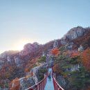 대둔산농장 이미지