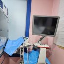 스머프동물병원 이미지