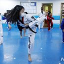 종로태권도아카데미 이미지