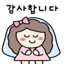 마백전기