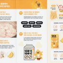 강아지 죽 노견 보양식 개튼튼 강아지 습식사료 추천