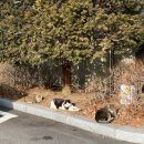 한-베트남  문화예술교류 | 2025-2027 KOICA 청년중기봉사단 (아시아) 국내교육 / 신체검사 후기