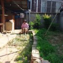 금포초등학교 이미지