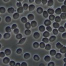 천인지한의원 이미지