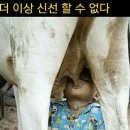 한국당구장 이미지