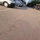 대선월드피아 이미지