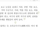 문학사 | [고1 문학사] 고전 문학사, &lt;춘향전&gt; 탐구 질문 &amp; Perusall 읽기