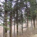 지리산 유아숲체험원 이미지