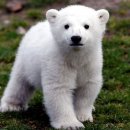 동국전자 이미지