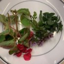 국립농산물품질관리원거창사무소 이미지