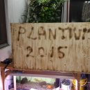 동탄이화유치원 이미지