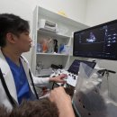 그루밍051 | 부산야간동물병원, 고양이 비대성심근증 평소와 다르면 절대 넘기면 안 되는 이유