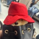 위켄드컴퍼니 | [위켄드컴퍼니] 문정동 책읽기 좋은 카페 방문후기