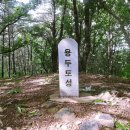 봉덕토성(용두토성) 이미지