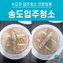 제일동물약품 | 인천송도입주청소 가격만 보고 결정하셨다면, 잠깐만요!