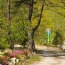 미산가족오토캠핑장 이미지