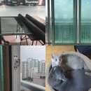 창너머 고양이 | 고양이의 안전을 지키는 방충망, 당진 푸르지오1차 아파트 방묘창 교체 시공 후기, 잠금장치 꼼꼼 설치