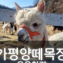 용용목장 이미지