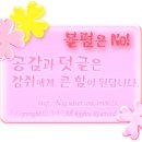 네네치킨포남점 이미지