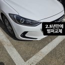 [리뷰] 남성 활력 끝.판.왕! 마이토스 마이세움 복용 후기