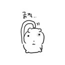 라도카서비스 이미지