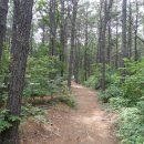 태봉산성지 이미지