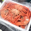 바다수산대게마트 이미지