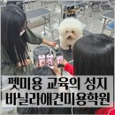 보람애견미용 이미지