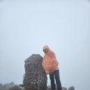 중청길 | 대청봉 우중산행과 탄산온천 후기(한계령휴게소~한계령삼거리~끝청~중청~대청봉~남설악탐방지원원센터...