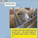 대흥양다리바베큐