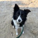 팔곡파출소 이미지