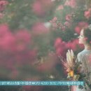 리마인드 웨딩촬영 &#34;마이플랜&#34;에서 준비 하세요.