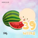 39주 4일 유도분만 시도 후 제왕절개 엔딩 후기(띠로리) / 모태안산부인과