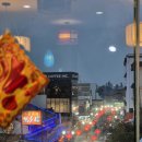 차이나연경 이미지