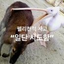 [ADsP 민트책 서포터즈 3기] 슈뢰딩거의 합격 여부, 48회 ADsP 시험후기