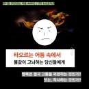 행복속에서 | 뮤지컬 『타오르는 어둠 속에서』 후기 / 거짓 위에 세워진 행복이라면