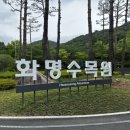 부산 아이랑 가볼만한곳 화명수목원