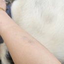 하얀메디컬의원 이미지