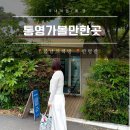 기분좋은 설레임 봄날 | 통영 가볼만한곳 봄날의책방, 한평반 눈으로 읽고 코로 기억하는 여행 코스