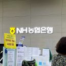 962005 | 로또 3등에 당첨됐어요!