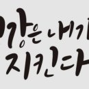 허니점핑다이어트 이미지