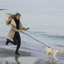 바다와 구이 이미지