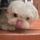 파나메디칼 이미지