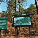 부락산 둘레길 이미지